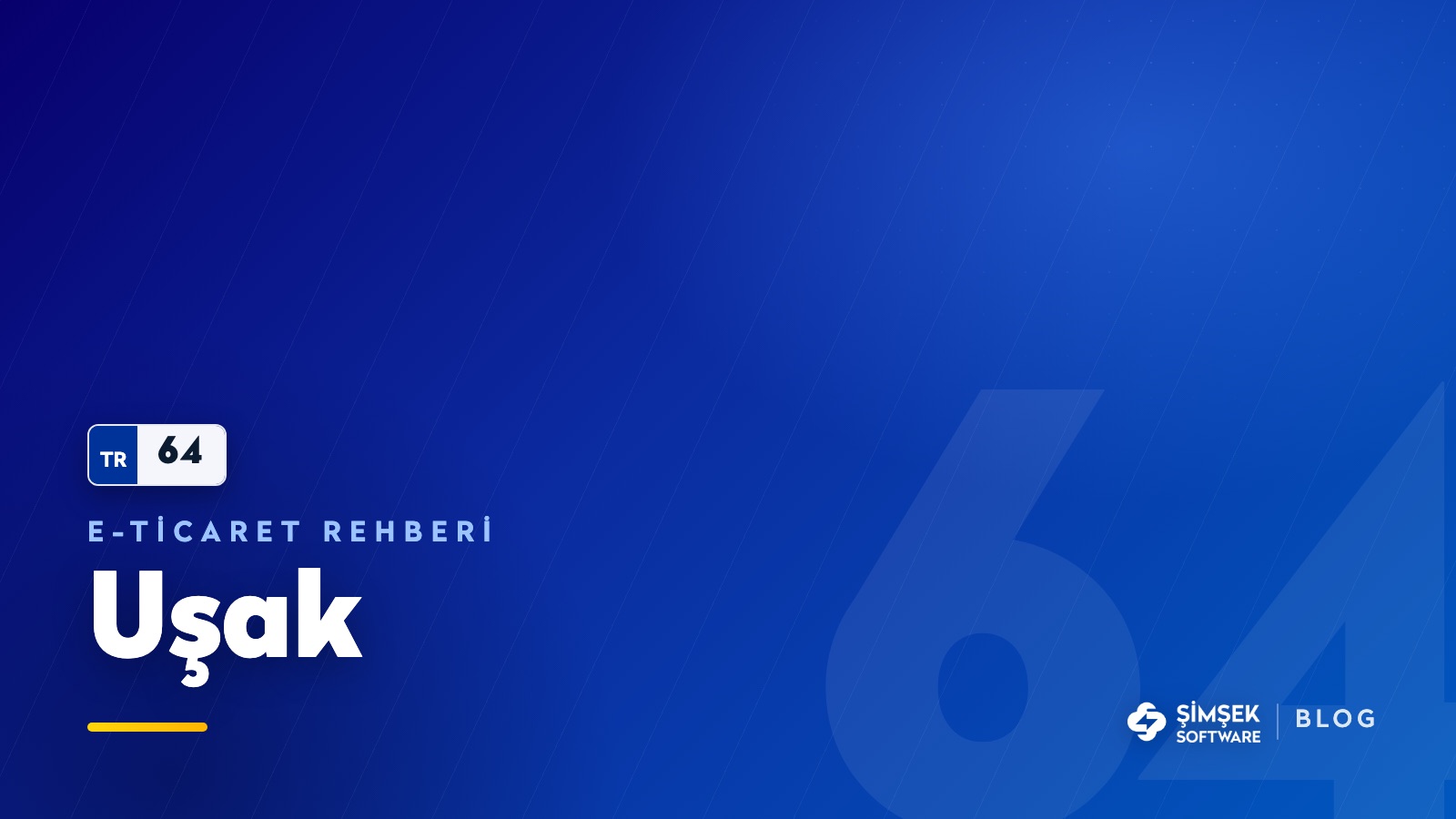 Uşak'ta e-ticaret: battaniyenin hacmi, derinin değeri